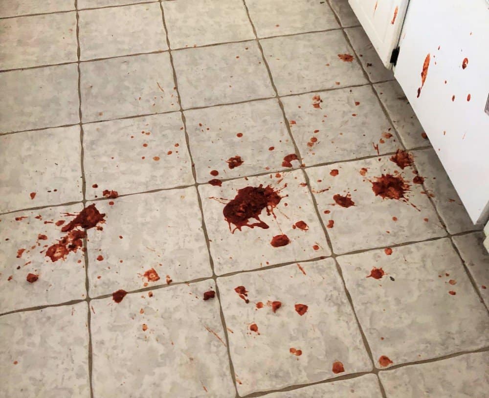 Speed clean your kitchen in 20 minutes