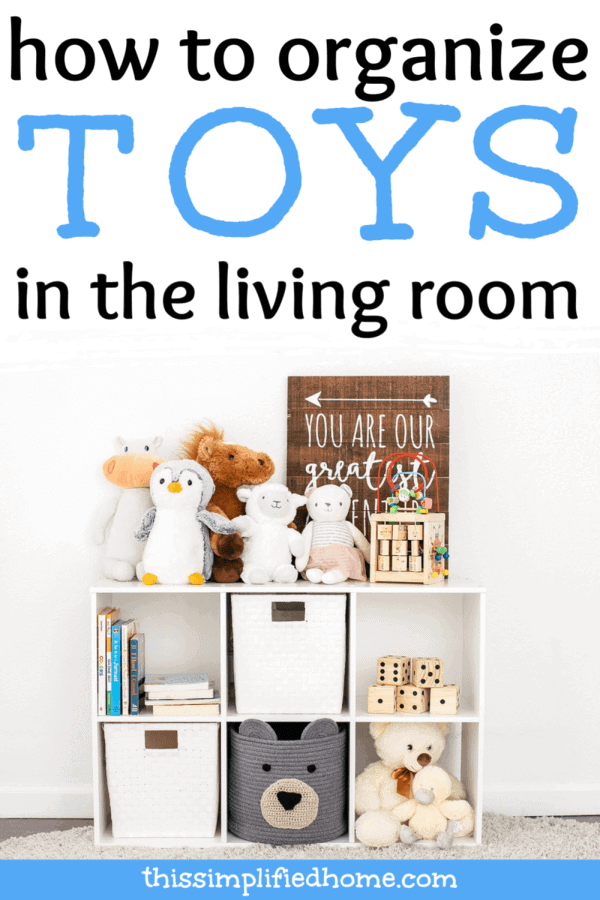 Ways to store toys best sale in the living room