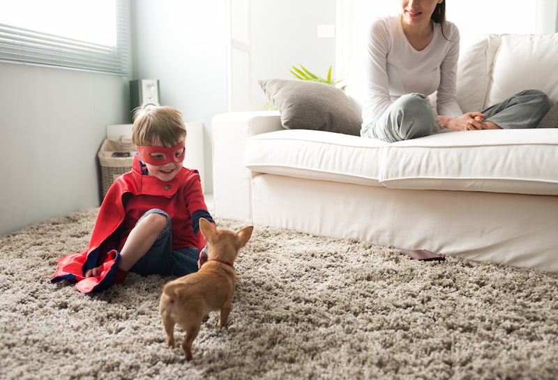Little boy in a super hero costume playing with a small do on an uncluttered living room floor. A mom is watching and smiling from the sofa next to him.